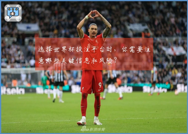 选择世界杯投注平台时，你需要注意哪些关键信息和风险？
