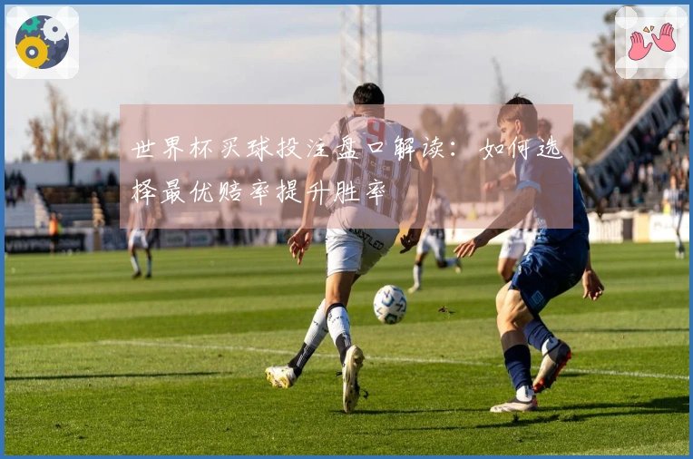 世界杯买球投注盘口解读：如何选择最优赔率提升胜率