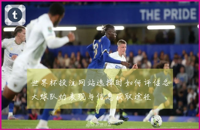 世界杯投注网站选择时如何评估各大球队的表现与信息获取途径