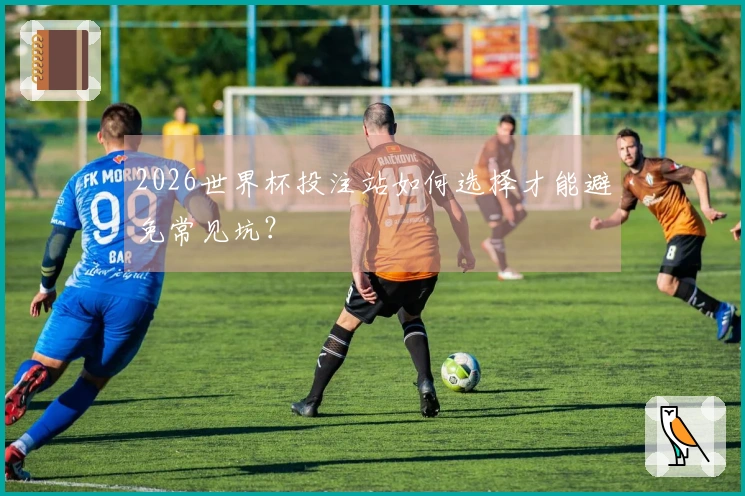 2026世界杯投注站如何选择才能避免常见坑？