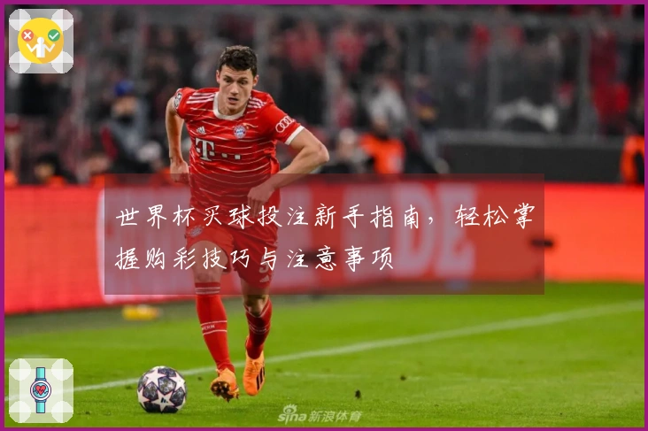 世界杯买球投注新手指南，轻松掌握购彩技巧与注意事项