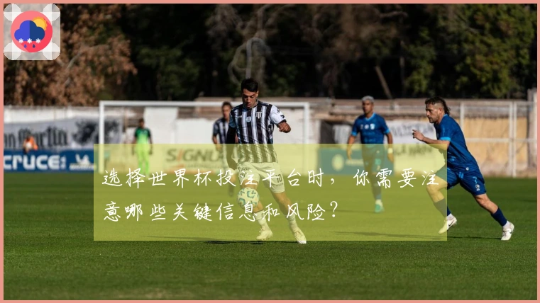 选择世界杯投注平台时，你需要注意哪些关键信息和风险？