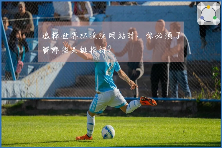 选择世界杯投注网站时，你必须了解哪些关键指标？