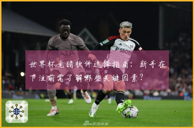 世界杯竞猜软件选择指南：新手在下注前需了解哪些关键因素？