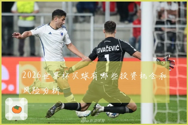 2026世界杯买球有哪些投资机会和风险分析