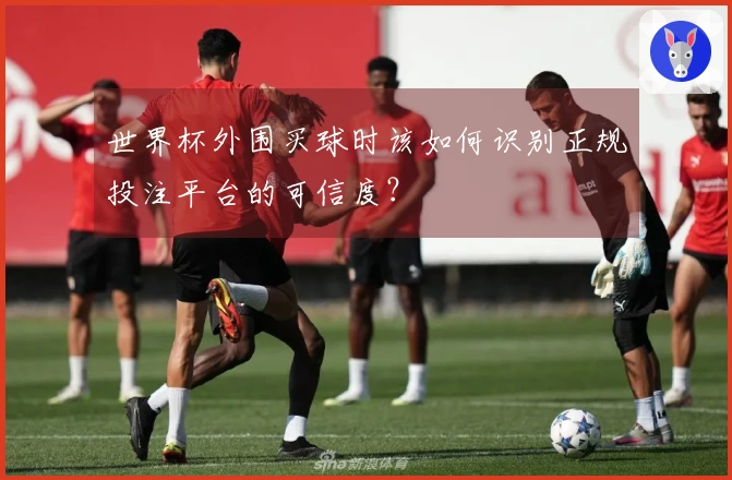 世界杯外围买球时该如何识别正规投注平台的可信度？
