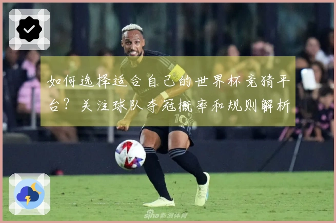 如何选择适合自己的世界杯竞猜平台？关注球队夺冠概率和规则解析