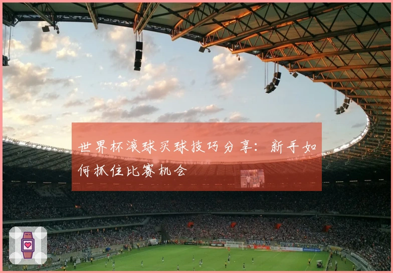 世界杯滚球买球技巧分享：新手如何抓住比赛机会