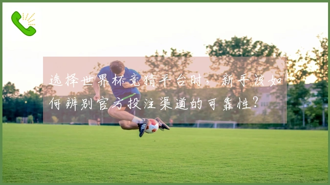选择世界杯竞猜平台时，新手该如何辨别官方投注渠道的可靠性？