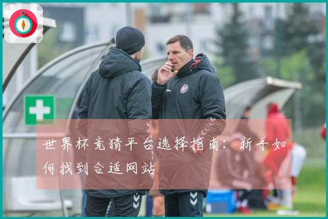 世界杯竞猜平台选择指南：新手如何找到合适网站