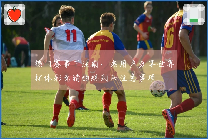 热门赛事下注前，老用户分享世界杯体彩竞猜的规则和注意事项