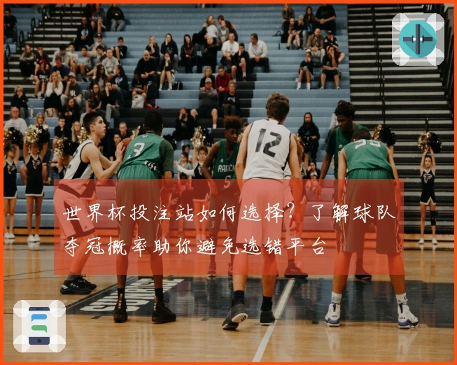 世界杯投注站如何选择？了解球队夺冠概率助你避免选错平台