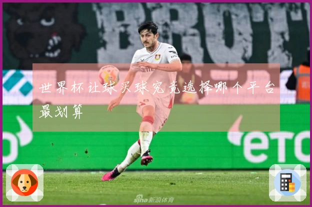 世界杯让球买球究竟选择哪个平台最划算