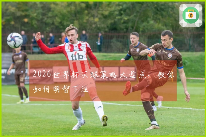 2026世界杯买球策略大盘点，教你如何明智下注