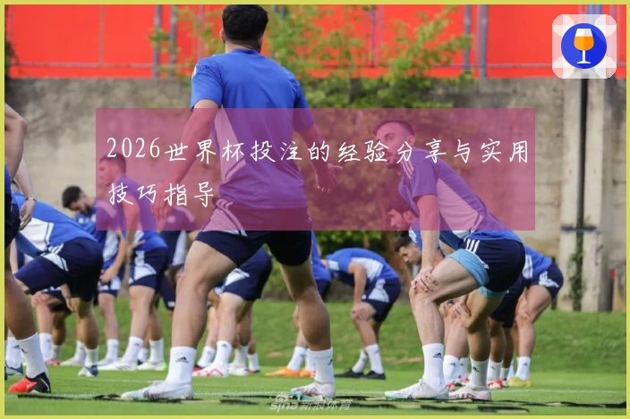 2026世界杯投注的经验分享与实用技巧指导
