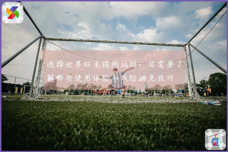 选择世界杯竞猜网站时，你需要了解哪些使用体验和风险避免技巧