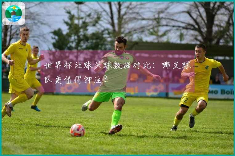 世界杯让球买球数据对比：哪支球队更值得押注？