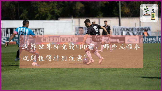 选择世界杯竞猜app前，哪些流程和规则值得特别注意？