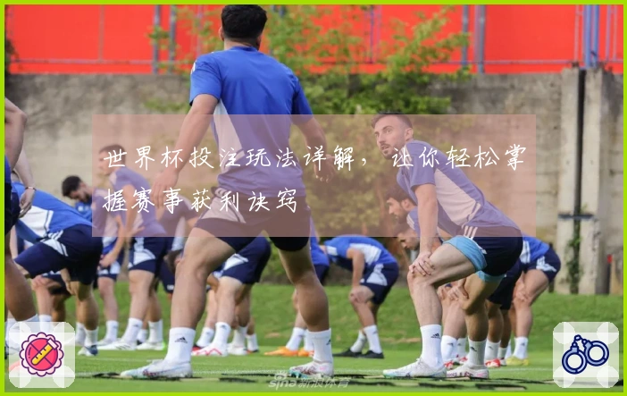 世界杯投注玩法详解，让你轻松掌握赛事获利诀窍