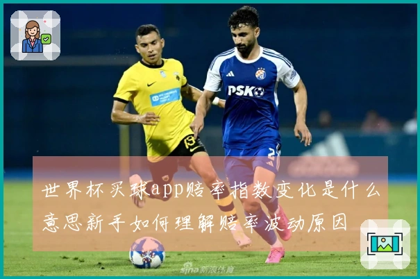 世界杯买球app赔率指数变化是什么意思新手如何理解赔率波动原因