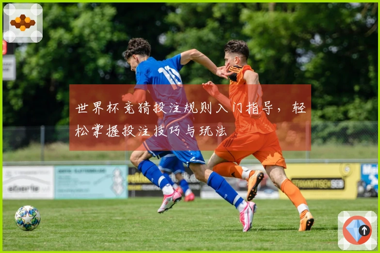 世界杯竞猜投注规则入门指导，轻松掌握投注技巧与玩法