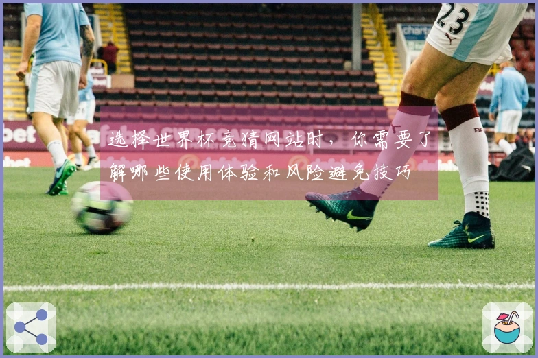 选择世界杯竞猜网站时，你需要了解哪些使用体验和风险避免技巧