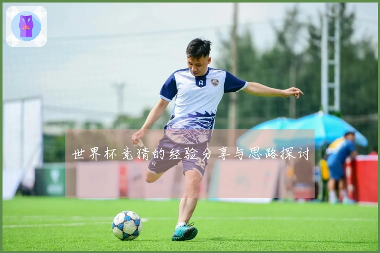 世界杯竞猜的经验分享与思路探讨