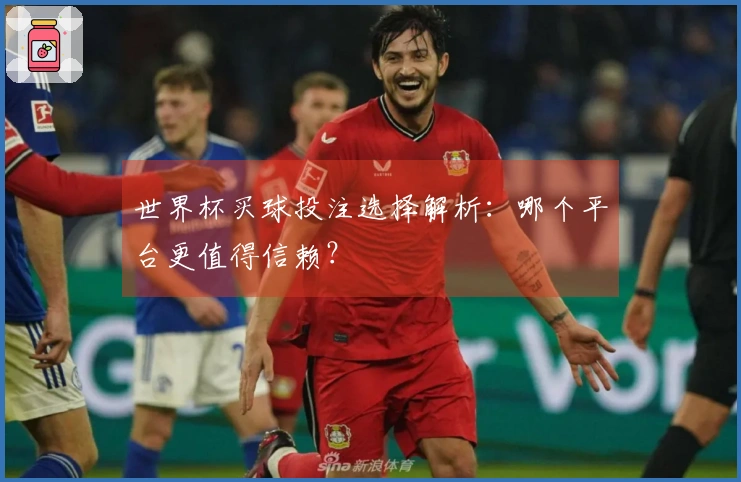 世界杯买球投注选择解析：哪个平台更值得信赖？