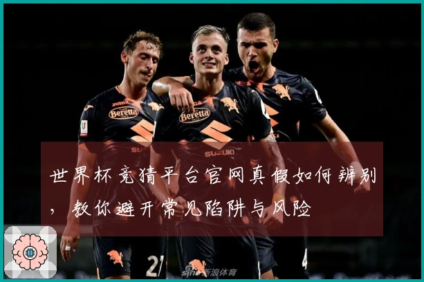 世界杯竞猜平台官网真假如何辨别，教你避开常见陷阱与风险