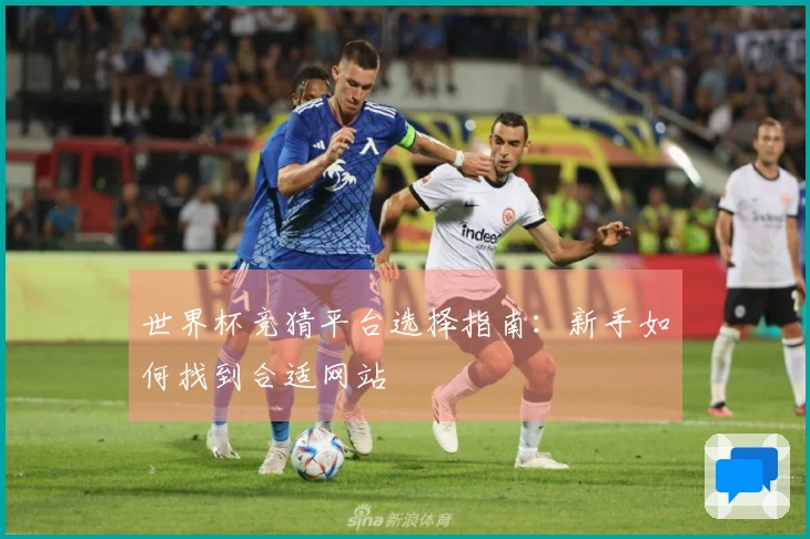世界杯竞猜平台选择指南：新手如何找到合适网站