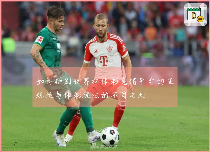 如何辨别世界杯体彩竞猜平台的正规性与体彩玩法的不同之处