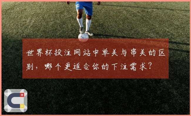 世界杯投注网站中单关与串关的区别，哪个更适合你的下注需求？