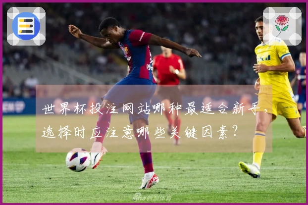 世界杯投注网站哪种最适合新手，选择时应注意哪些关键因素？