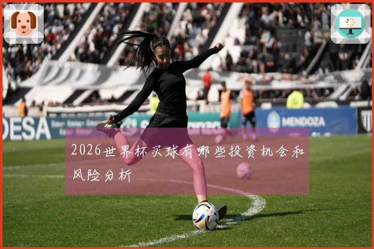 2026世界杯买球有哪些投资机会和风险分析