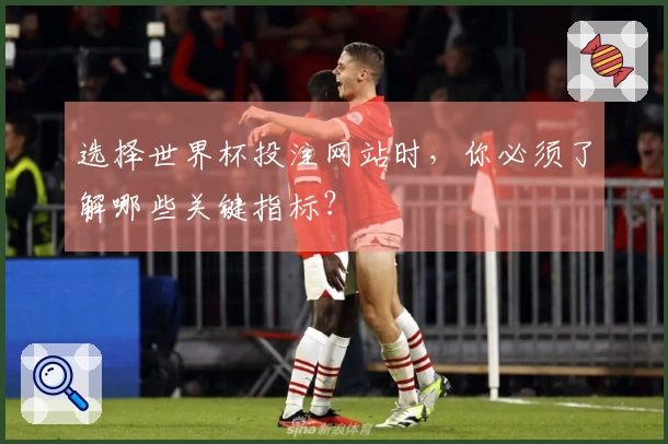 选择世界杯投注网站时，你必须了解哪些关键指标？