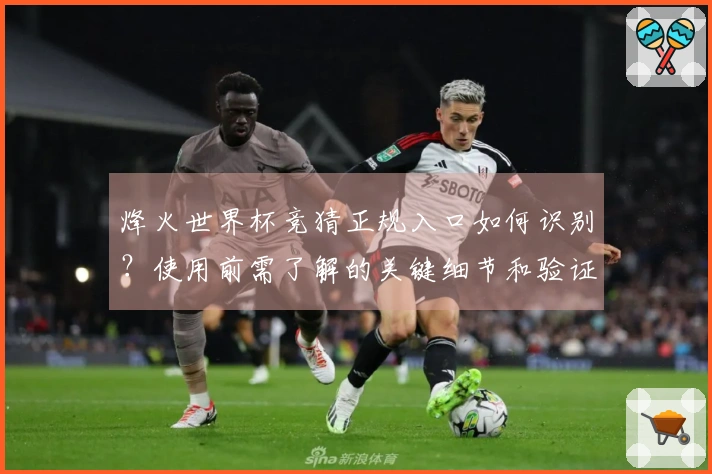 烽火世界杯竞猜正规入口如何识别？使用前需了解的关键细节和验证步骤