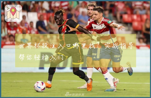 世界杯投注入口哪里找?实战指导帮你轻松入门